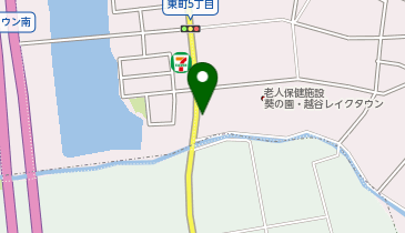 訪問リハビリステーション越ケ谷レイクタウンの地図画像