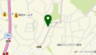 学研ココファン岸谷公園ヘルパーセンターの地図画像