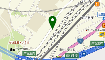 サロンデイ岸谷の地図画像