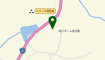 新野デイサービスセンターはなのき荘の地図画像