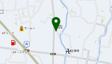 ヘルパーステーションこころの地図画像