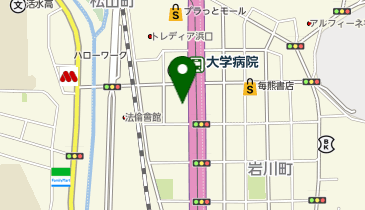 松山町パークデイリハビリセンターの地図画像