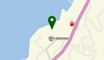 天草慈恵病院介護医療院の地図画像