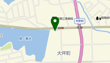 独立行政法人地域医療機能推進機構宮崎江南病院附属介護老人保健施設の地図画像