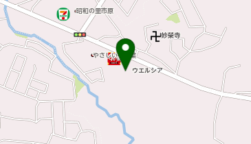 【予約制】Bounce ロッカー ウエルシア 市原野光店 収納スポットの地図画像