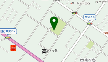 新和興産(株) 白石オートガススタンドの地図画像