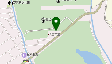 大宮交通(株)の地図画像