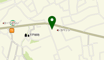 コインランドリーデポさいたま指扇店の地図画像