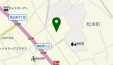 訪問看護ステーションもも合同会社の地図画像