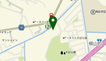 高知ファイティングドッグス株式会社の地図画像