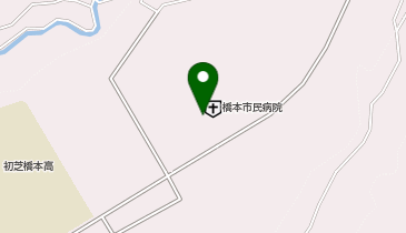 ニューヤマザキデイリーストアー橋本市民病院 共同出張所(イーネットATM)の地図画像