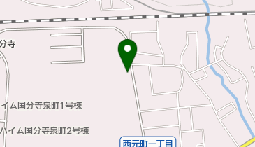 都立武蔵国分寺公園泉・北東口の地図画像