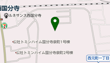 都立武蔵国分寺公園泉・北西口の地図画像