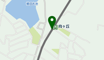 向ヶ丘の地図画像