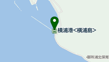 横浦港<横浦島>の地図画像