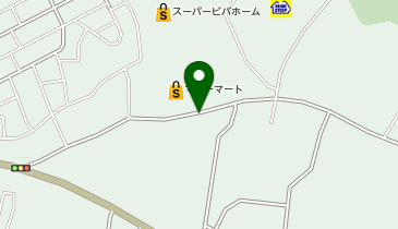 スーパービバホーム岩槻店 バス停 の時刻表 アクセス 地点情報 地図 Navitime