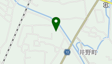 井野神社の地図画像