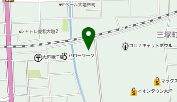 カラーフォーム健康ショップ イオンタウン大垣店の地図画像