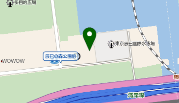 辰巳サービスセンターの地図画像