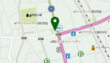 本格派クリーニング たんぽぽ 浦和仲町店の地図画像