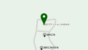 お家薬膳 忘れなの地図画像