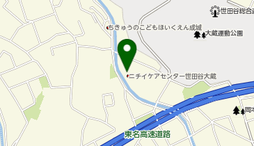 ニチイケアセンター 世田谷大蔵の地図画像