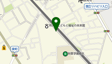 新所沢ボディメンテナンスサロンとことこの地図画像