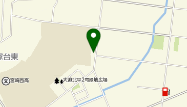 COCOマイアーレの地図画像