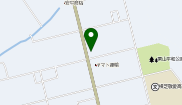 ドラッグストア コスモス 横芝店の地図画像