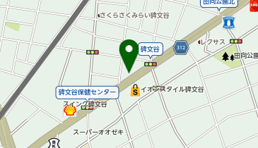 ヴィクトリアゴルフ イオンスタイル碑文谷店の地図画像
