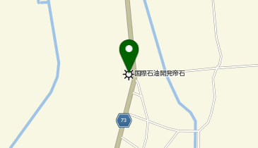 株式会社INPEX 東日本鉱業所長岡鉱場平井ガス採収所の地図画像