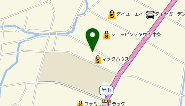 洗い屋本舗 新潟中条店の地図画像