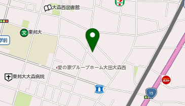 警視庁 少年育成課 大森少年センターの地図画像