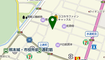 癒しーぷ 熊本店の地図画像