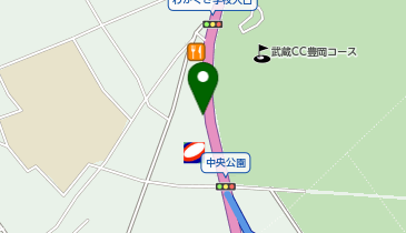 PISOLA(ピソラ) 入間インター店の地図画像