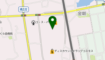 ふぇすたらんど 金剛店の地図画像