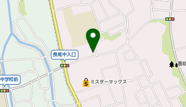 養命堂鍼灸整骨院の地図画像