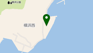 住友大阪セメント株式会社 広島SSの地図画像