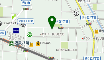 POLA THE BEAUTY(ポーラ・ザ・ビューティー) 八尾ひかり店の地図画像