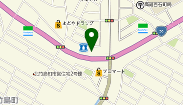 POLA THE BEAUY(ポーラ・ザ・ビューティー) 高知百石店の地図画像