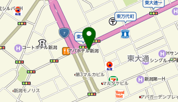 東海東京証券株式会社(あんしん総合サービス) 新潟支店の地図画像