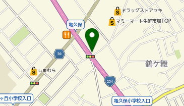 asian relaxation villa(アジアンリラクゼーションヴィラ) ふじみ野店の地図画像