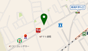 asian relaxation villa(アジアンリラクゼーションヴィラ) 新潟西店の地図画像