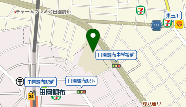 田園調布中学校の地図画像