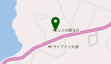 大浦特産品直売所 ふるさとくじら館の地図画像