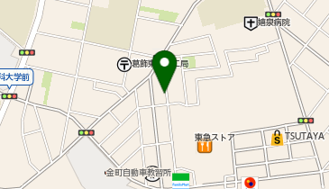 Oasis GaRDEN(オアシス ガーデン) 金町店の地図画像