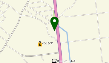 麺屋特級 金乃虎 古河店の地図画像