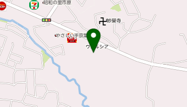 極真空手小嶋道場 市原支部の地図画像