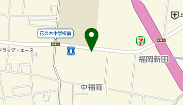 フライングガーデン ふじみ野店の地図画像