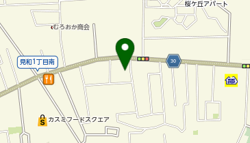 spice curry cafe ARC(スパイス カレー カフェ アーク)の地図画像